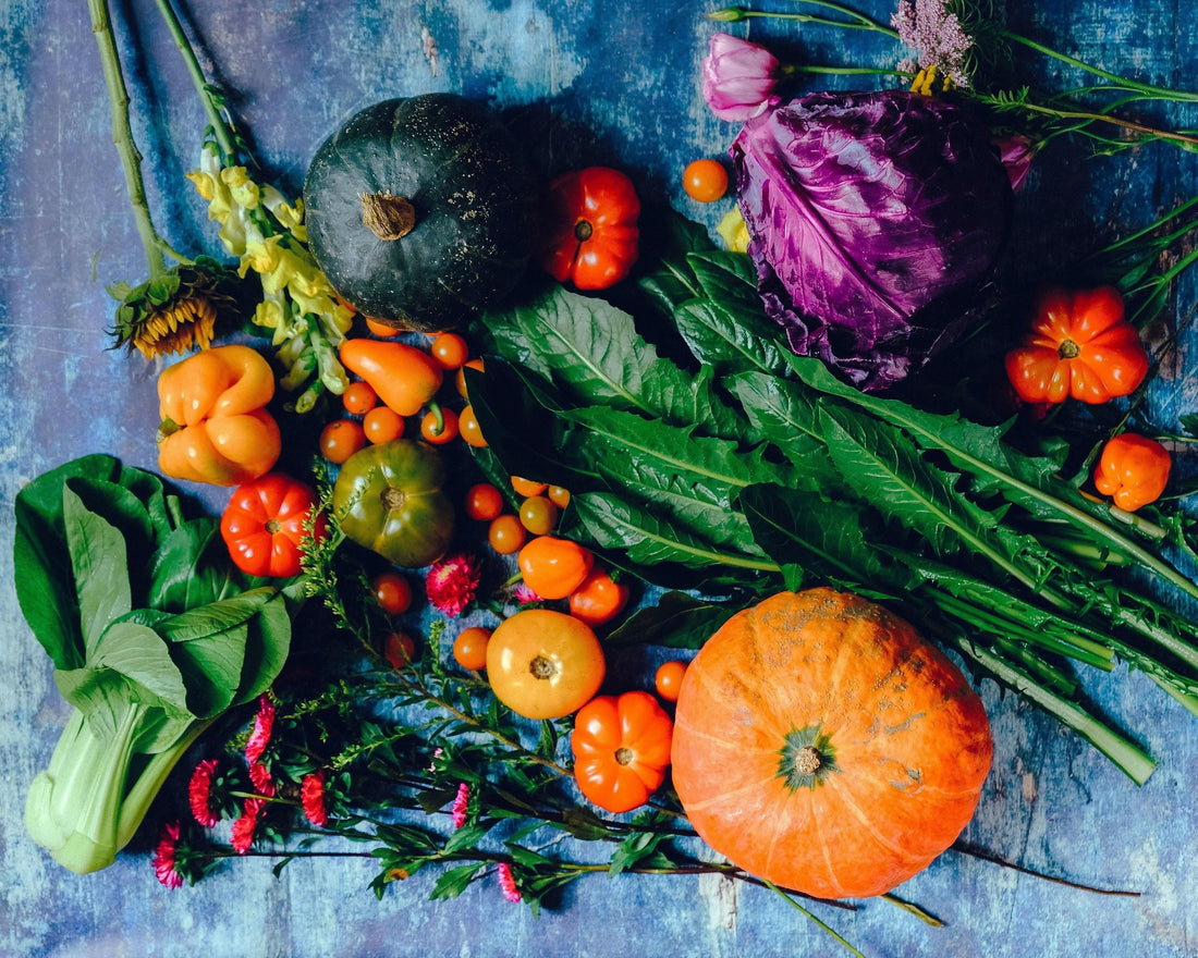 The Building Blocks of Nutrition